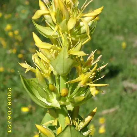 Hotel Logis Hotel-restaurant Les Coudercous 3*