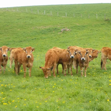 Hotel Logis Hotel-restaurant Les Coudercous