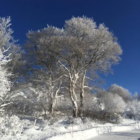 Hotel Logis Hotel-restaurant Les Coudercous