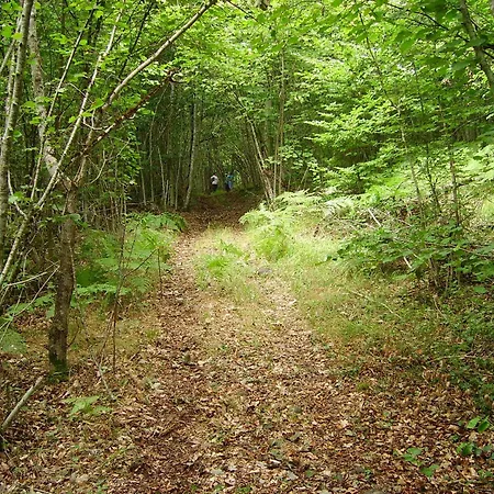 Logis Hotel-restaurant Les Coudercous