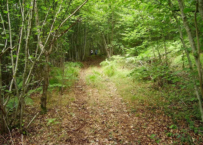 Logis Hotel-restaurant Les Coudercous