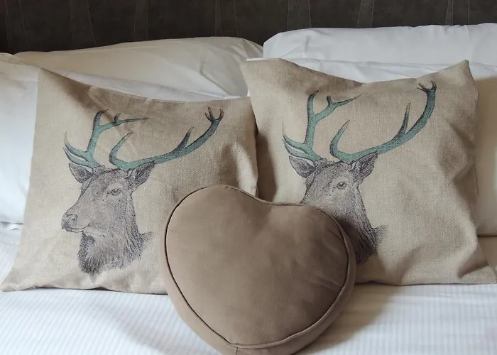 酒店 Logis Hotel-restaurant Les Coudercous Saint-Chély-dʼAubrac