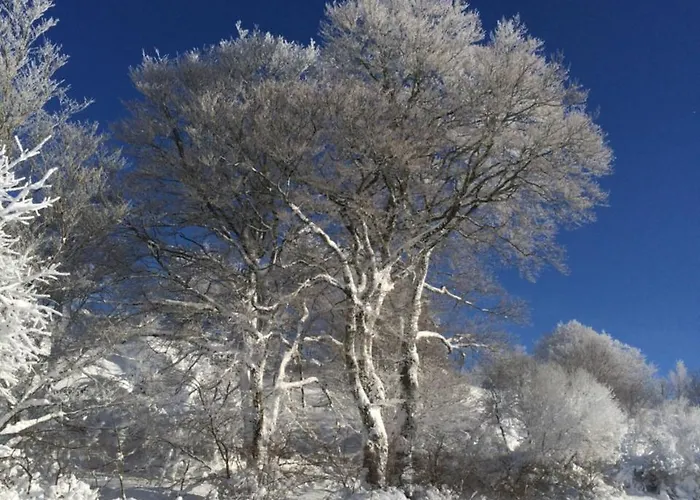 酒店 Logis Hotel-restaurant Les Coudercous