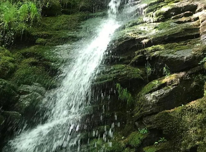 酒店 Logis Hotel-restaurant Les Coudercous Saint-Chély-dʼAubrac